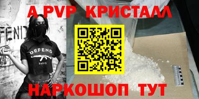 jwh Кингисепп