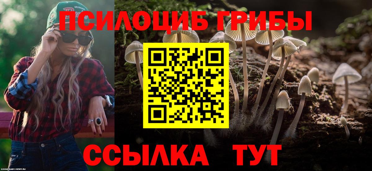 Галлюциногенные грибы прущие грибы Красноармейск