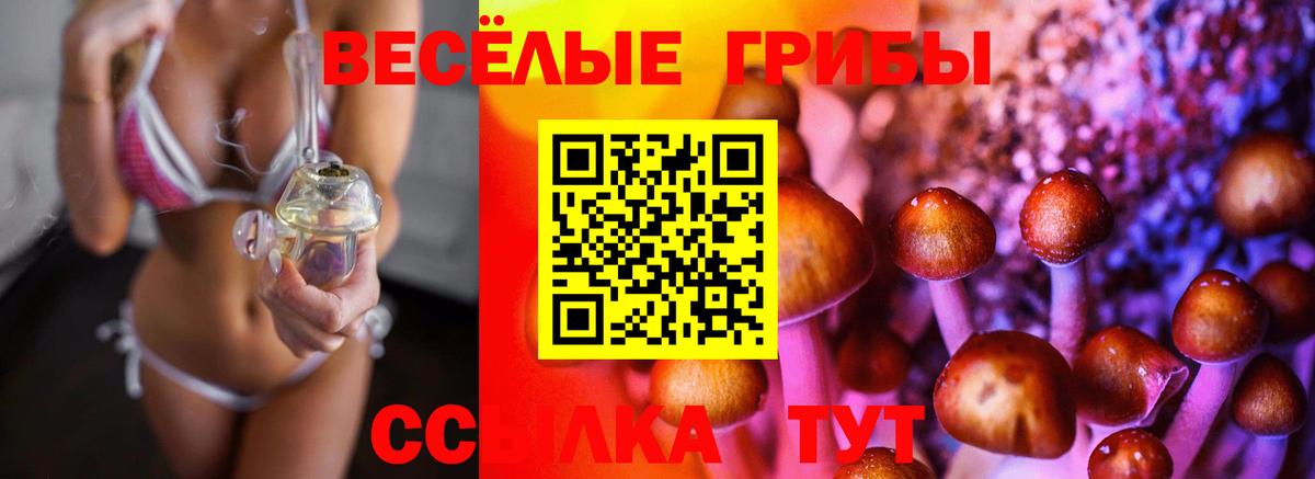 Галлюциногенные грибы мухоморы  Псилоцибиновые грибы GOLDEN TEACHER  Красноармейск  Вход с VPN 